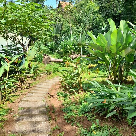Hostel Osa Tucan Drake Drake Bay Zewnętrze zdjęcie