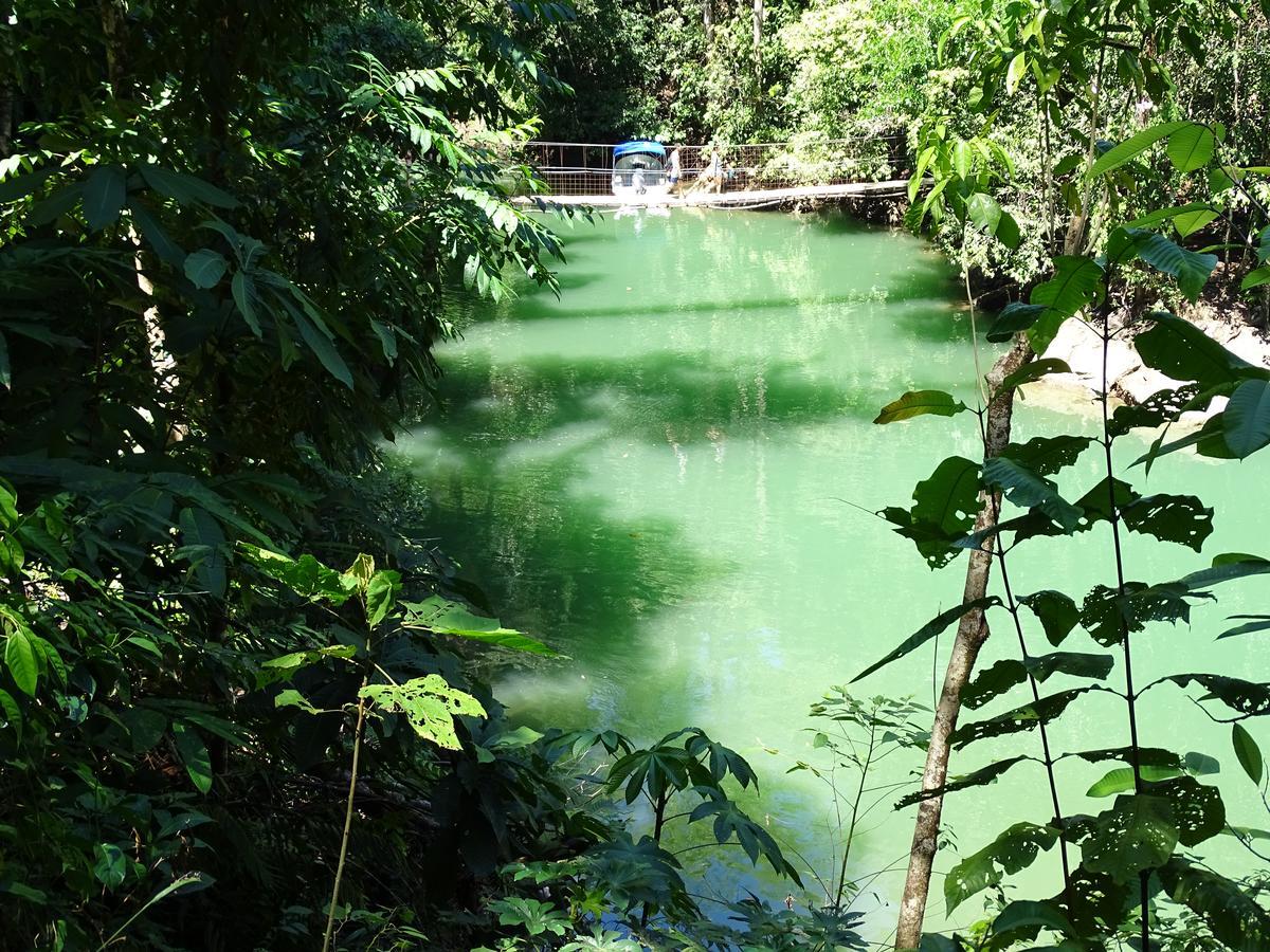 Hostel Osa Tucan Drake Drake Bay Zewnętrze zdjęcie