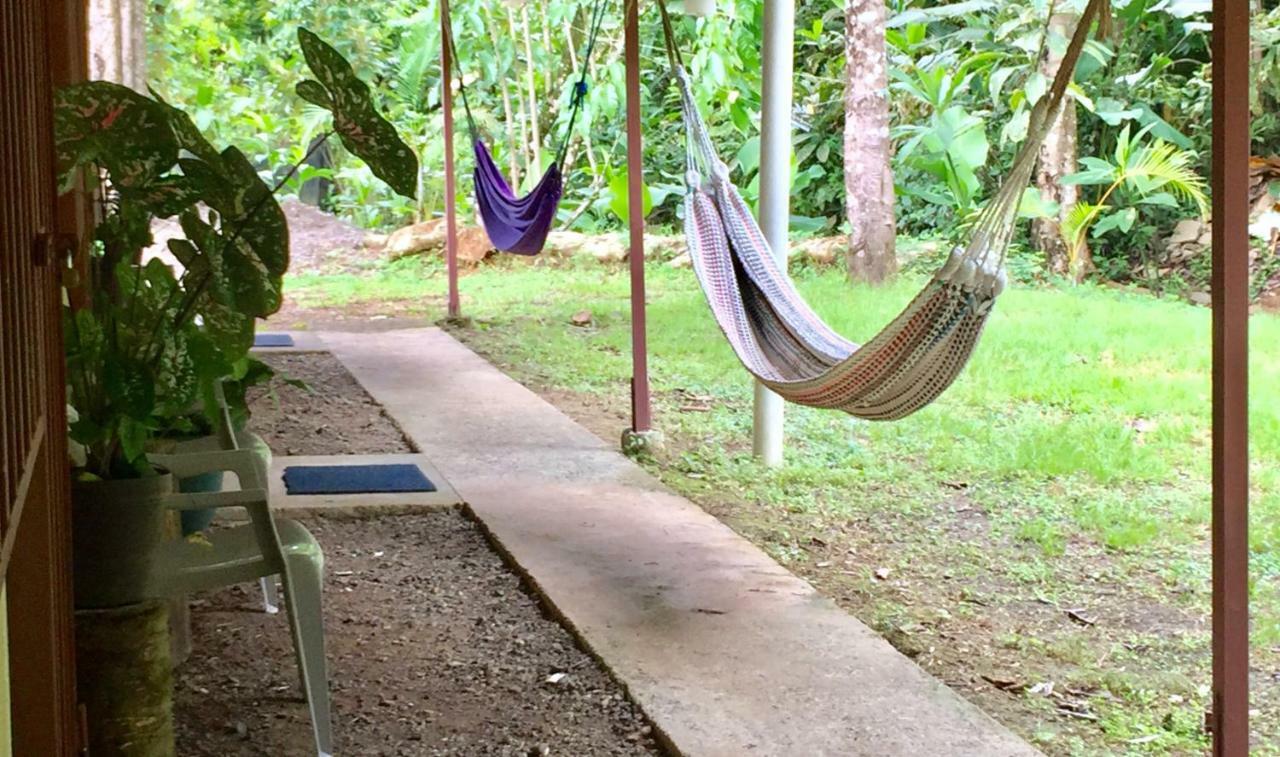 Hostel Osa Tucan Drake Drake Bay Zewnętrze zdjęcie